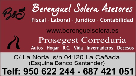 Berenguel Solera Asesores